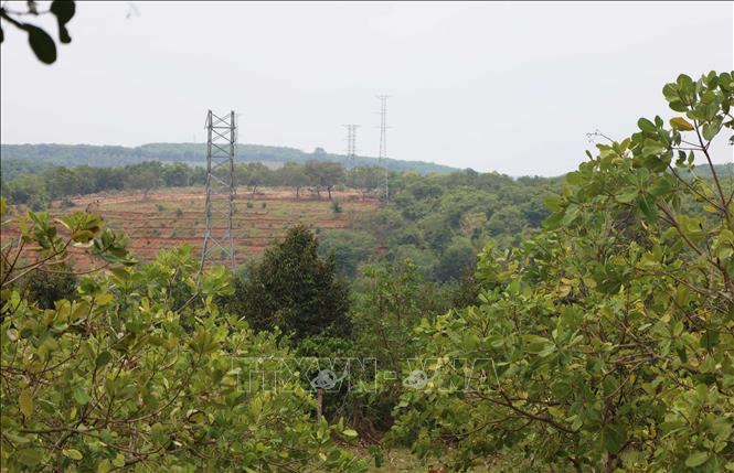 Hơn 70 trụ điện 110kV được xây dựng nhiều năm nay nhưng chưa được kéo dây điện cao áp. Ảnh: Đậu Tất Thành – TTXVN