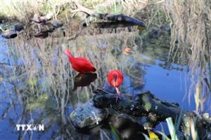 Tham quan London Zoo, vườn thú khoa học lâu đời nhất thế giới