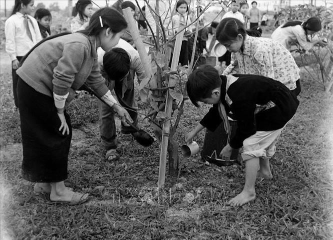 Suốt hai cuộc kháng chiến trường kỳ của dân tộc, lớp lớp thiếu nhi Việt Nam ở hai miền Nam, Bắc đã góp phần nhỏ bé của mình vào sự nghiệp đấu tranh giải phóng dân tộc với rất nhiều phong trào thiết thực. Trong ảnh: Thiếu nhi ở khu phố Hàng Cỏ đến chăm sóc, tưới nước, nhổ cỏ, bắt sâu cho cây và hoa ở công viên văn hóa Bảy Mẫu (14/2/1960). Ảnh: Lê Minh Trường - TTXVN