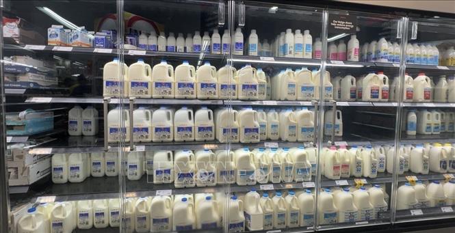 Sản phẩm sữa mang nhãn hiệu của siêu thị Coles được người tiêu dùng Australia tương đối yêu thích. Ảnh: Thanh Tú - PV TTXVN tại Australia