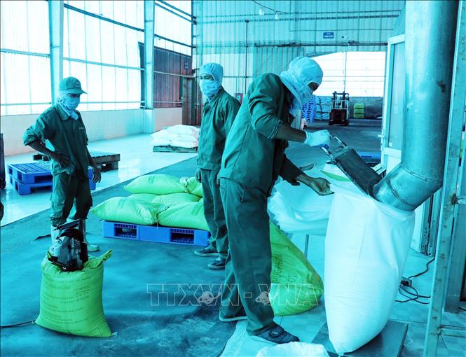 Công nhân nhà máy thuộc Công ty Cổ phần sản xuất và chế biến muối BIM (ở xã Thuận Nam) đóng bao muối tinh thành phẩm sau khi chế biến. Ảnh: Công Thử - TTXVN