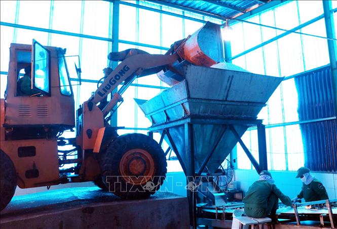 Công nhân Công ty Cổ phần sản xuất và chế biến muối BIM (ở xã Thuận Nam) đưa muối sản xuất vào nhà máy chế biến. Ảnh: Công Thử - TTXVN