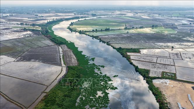 Sông Vàm Cỏ Đông, đoạn chảy qua xã Long Thuận, tỉnh Tây Ninh, xuất hiện tình trạng nước đổi màu bất thường, ảnh hưởng đến môi trường và sản xuất nông nghiệp của người dân địa phương. Ảnh: Minh Phú – TTXVN