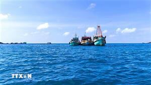 Làm sạch dữ liệu tàu cá, Cà Mau tăng tốc gỡ “thẻ vàng” IUU