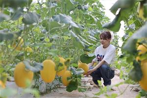 TP Hồ Chí Minh mở rộng 'bệ phóng' cho startup nông nghiệp