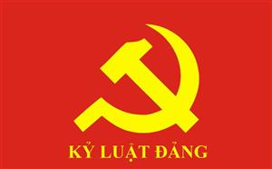 Ban Bí thư xem xét, thi hành kỷ luật đảng viên vi phạm