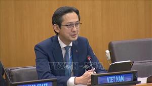 Việt Nam nỗ lực thúc đẩy Hội nghị kiểm điểm NPT đạt kết quả thực chất