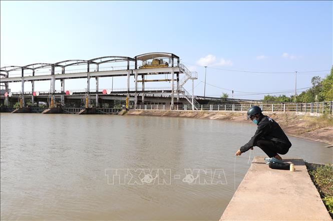 Nhân viên Xí nghiệp Thủy nông 04 lấy nước tại cống Láng Thé (xã Nhị Long) để kiểm tra độ mặn. Ảnh: Thanh Hòa - TTXVN