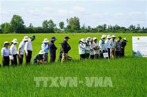 Đã có 32 địa phương hoàn thành sắp xếp, kiện toàn trung tâm khuyến nông cấp tỉnh