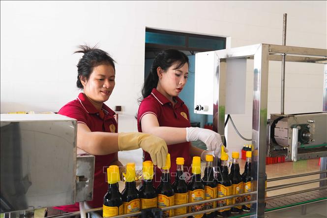 Dây chuyền máy móc hiện đại được đưa vào sử dụng giúp nâng cao năng suất. Ảnh: Hữu Quyết - TTXVN