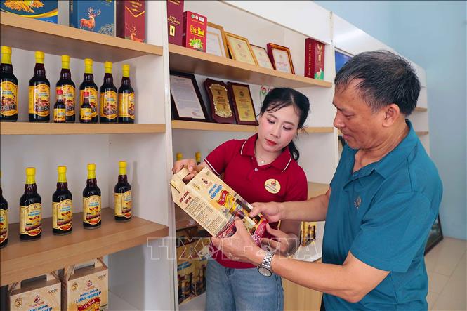Khách hàng tham quan, mua sắm sản phẩm nước mắm Luận Nghiệp. Ảnh: Hữu Quyết - TTXVN