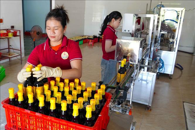 Thành viên hợp tác xã đóng gói sản phẩm nước mắm Luận Nghiệp sau khi hoàn thiện. Ảnh: Hữu Quyết - TTXVN