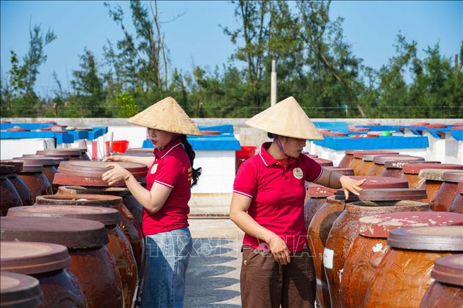 Sản phẩm nước mắm Luận Nghiệp được ủ chượp theo phương pháp thủ công nhằm giữ lại chất lượng tốt nhất. Ảnh: Hữu Quyết - TTXVN