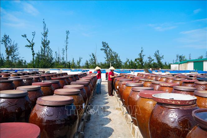 Sản phẩm nước mắm Luận Nghiệp được chế biến, kiểm tra kỹ càng để đảm bảo chất lượng, giá trị dinh dưỡng và an toàn vệ sinh thực phẩm. Ảnh: Hữu Quyết - TTXVN