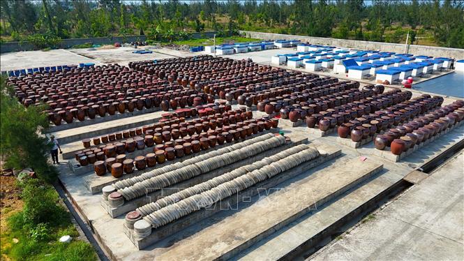 Khu vực sản xuất nước mắm truyền thống tại Hợp tác xã Thu mua và Chế biến thủy hải sản Chiến Thắng. Ảnh: Hữu Quyết - TTXVN