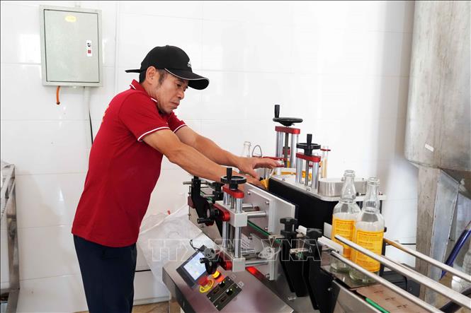 Hệ thống máy móc tự động hiện đại sẽ thực hiện các công đoạn như chiết rót, đóng chai, dán nhãn. Ảnh: Hữu Quyết - TTXVN
