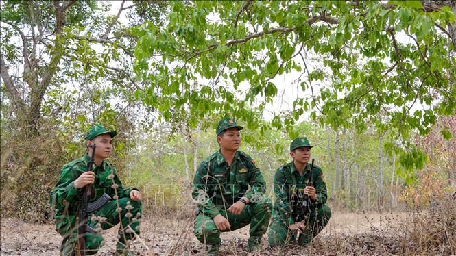 Cán bộ, chiến sĩ Bộ đội Biên phòng tỉnh Tây Ninh tổ chức tuần tra, mật phục trên địa bàn biên giới nhằm đấu tranh phòng, chống tội phạm. Ảnh: Minh Phú - TTXVN