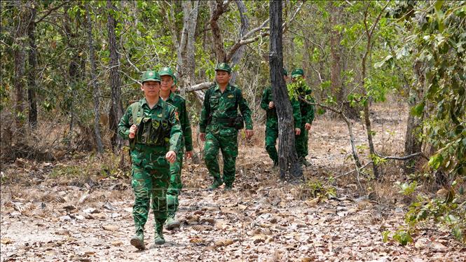 Lực lượng Bộ đội Biên phòng tỉnh Tây Ninh tuần tra kiểm soát bảo vệ chủ quyền lãnh thổ, an ninh biên giới quốc gia trên tuyến biên giới Tây Nam. Ảnh: Minh Phú – TTXVN