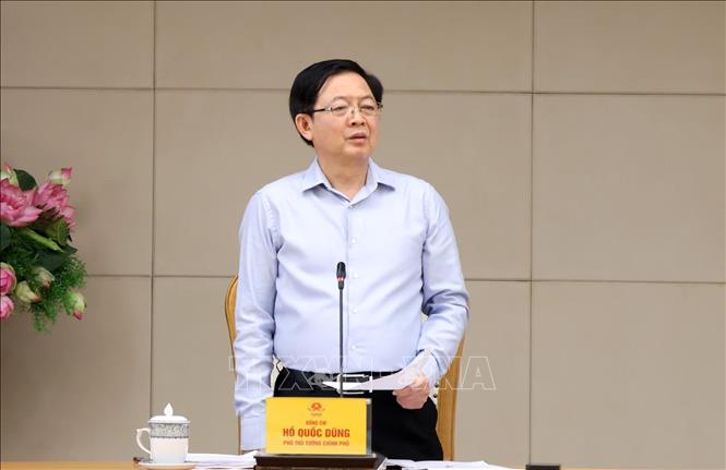Phó Thủ tướng Hồ Quốc Dũng phát biểu tại cuộc họp. Ảnh: Xuân Tùng - TTXVN