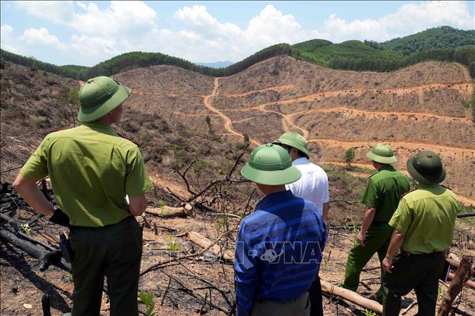 Các tổ tuần tra liên ngành kiểm tra hiện trạng phá rừng tại xã Bố Trạch (Quảng Trị). Ảnh: Tá Chuyên - TTXVN