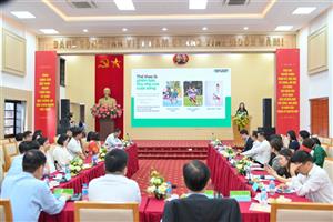 Phát triển thế hệ trẻ toàn diện: Từ giáo dục, dinh dưỡng đến thể chất cho kỷ nguyên mới