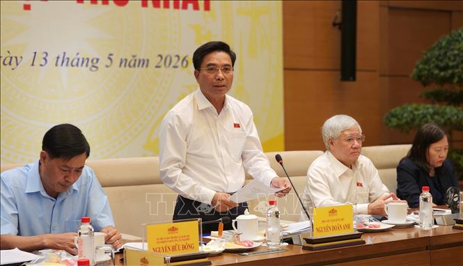 Ủy viên Ban Thường vụ Đảng ủy, Phó Chủ tịch Quốc hội Nguyễn Doãn Anh, Phó Trưởng ban Thường trực Ban Chỉ đạo phát biểu tại phiên họp. Ảnh: Chu Thanh Vân - TTXVN