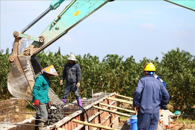 Đơn vị thi công dự án cầu Tứ Liên đang lắp dựng khuôn bệ đúc dầm Super T phục vụ các hạng mục cầu chính. Ảnh: Lê Đông - TTXVN