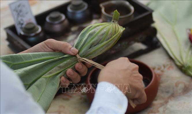 Trà sen ủ trong hoa sen được gói trong lá sen và bảo quản trong tủ lạnh để bảo quản được lâu.  Ảnh: Văn Dũng-TTXVN