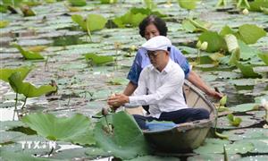 Nét văn hóa độc đáo của trà sen xứ Huế