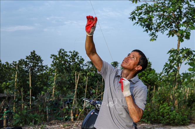 Theo anh Quyết ở làng Bá Dương Nội, nghệ thuật làm sáo nằm ở khả năng thẩm âm để từng ống sáo lớn nhỏ hòa quyện, nâng đỡ nhau tạo nên thanh âm trầm bổng. Ảnh: Lê Ngọc/TTXVN phát