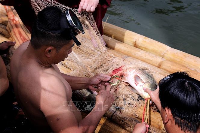 Ngư dân phấn khởi khi đánh được những con cá to tại suối. Ảnh: Thanh Hải - TTXVN 