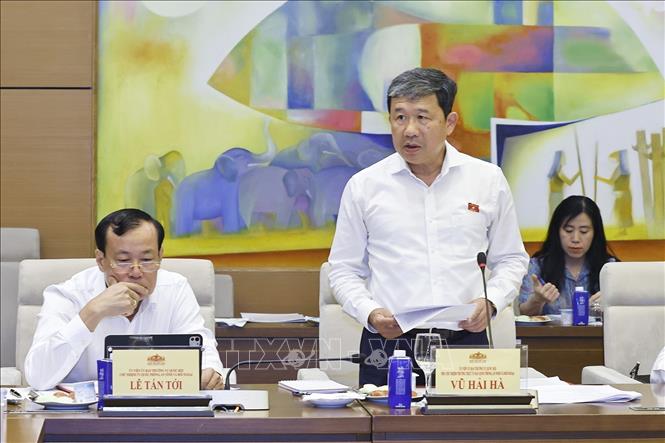 Phó Chủ nhiệm Thường trực Ủy ban Quốc phòng, An ninh và Đối ngoại của Quốc hội Vũ Hải Hà phát biểu. Ảnh: Doãn Tấn - TTXVN