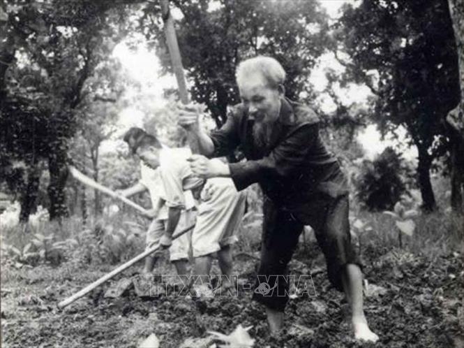 Là một người yêu lao động, khuyến khích lao động trong mọi hoàn cảnh, Bác Hồ cuốc đất, trồng rau trong vườn Phủ Chủ tịch (năm 1957). Ảnh: Tư liệu/TTXVN phát