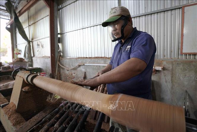 Các sản phẩm của làng nghề truyền thống mộc Chợ Thủ nổi tiếng về mẫu mã và kiểu dáng. Ảnh: Khánh Hoà - TTXVN