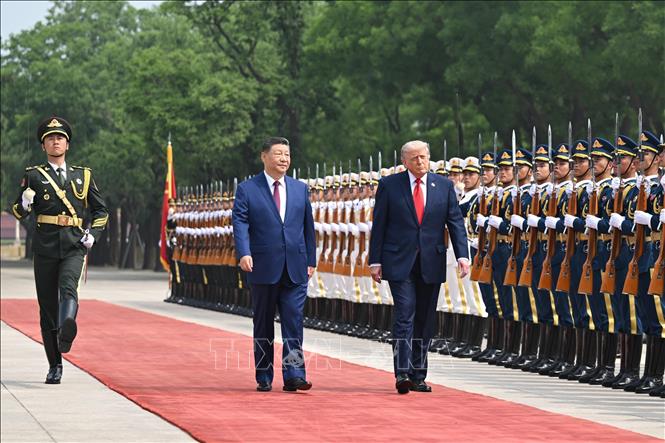 Ngày 14/5/2026, Chủ tịch Trung Quốc Tập Cận Bình và Tổng thống Donald Trump đã có cuộc hội đàm song phương tại thủ đô Bắc Kinh. Chủ tịch Trung Quốc Tập Cận Bình nhấn mạnh tầm quan trọng của việc duy trì mối quan hệ song phương ổn định, hỗ trợ nhau để đạt được thành công và thịnh vượng, cũng như góp phần giải quyết những vấn đề của thời đại trong bối cảnh tình hình thế giới đang biến động mạnh. Về phần mình, Tổng thống Trump cho biết ông mong chờ “một cuộc thảo luận lớn” với Chủ tịch Trung Quốc Tập Cận Bình, đồng thời hy vọng hai nước sẽ có “một tương lai tuyệt vời cùng nhau”. Ảnh: THX/TTXVN