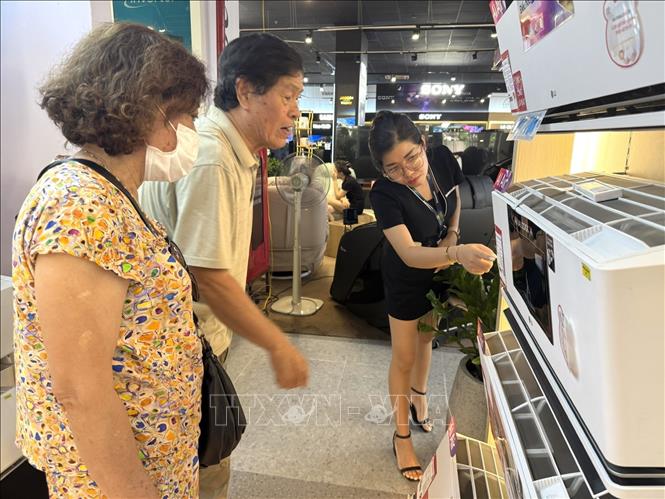 Nhiều khách hàng lựa chọn mua sắm sớm với tâm lý sợ khan hàng hoặc thiếu người lắp đặt vào giai đoạn cao điểm. Ảnh: Quốc Lũy - TTXVN
