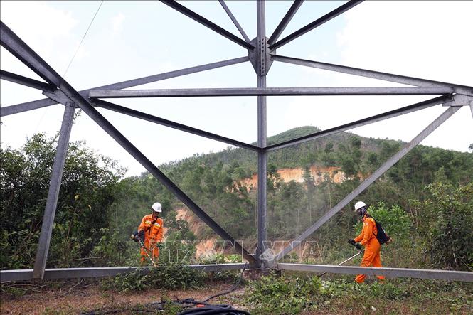 Tổ quản lý vận hành đường dây Quy Nhơn (TTĐ Gia Lai) cắt tỉa cây tại vị trí cột 24 tuyến đường dây 220kV Tuy Hòa – Quy Nhơn. Ảnh: Huy Hùng - TTXVN

