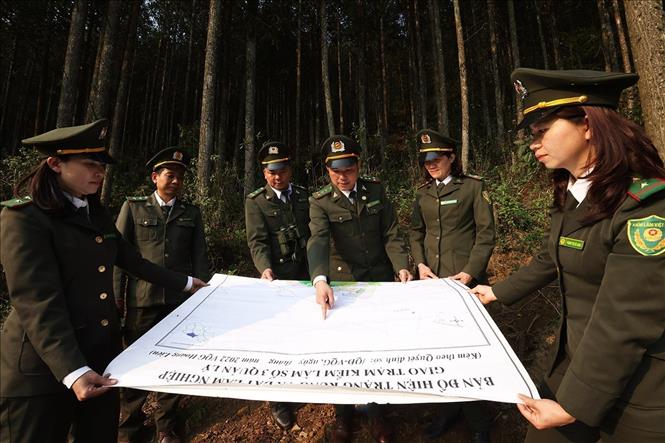 Lực lượng Kiểm lâm thuộc Vườn quốc gia Hoàng Liên, tỉnh Lào Cai tổ chức đi tuần tra bảo vệ rừng, tại khu vực do đơn vị quản lý. Ảnh: Vũ Sinh - TTXVN