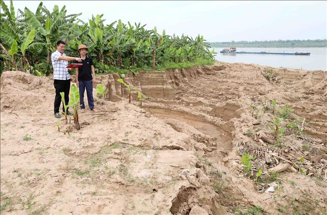 Hàng nghìn mét khối đất tại cánh đồng thôn Phương Trù, xã Châu Ninh (Hưng Yên) bị đào, múc trộm. Ảnh: Thế Duyệt – TTXVN