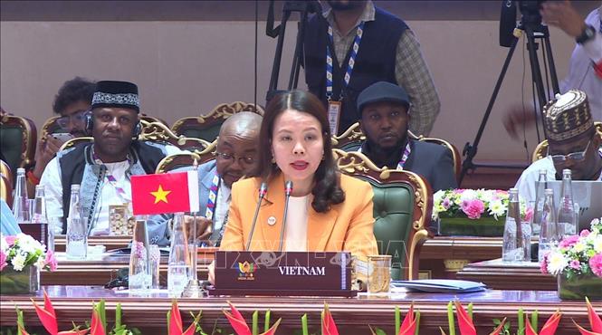 Thứ trưởng Bộ Ngoại giao Nguyễn Minh Hằng phát biểu tại Phiên thảo luận về chủ đề “Cải cách các hệ thống đa phương và quản trị toàn cầu” và phiên bế mạc. Ảnh: Quang Trung - PV TTXVN tại Ấn Độ
