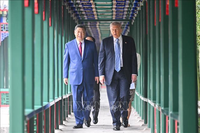 Chủ tịch Trung Quốc Tập Cận Bình (trái) và Tổng thống Mỹ Donald Trump tới thăm Trung Nam Hải trong khuôn viên Hoàng Thành Bắc Kinh, ngày 15/5/2026. Ảnh: THX/TTXVN