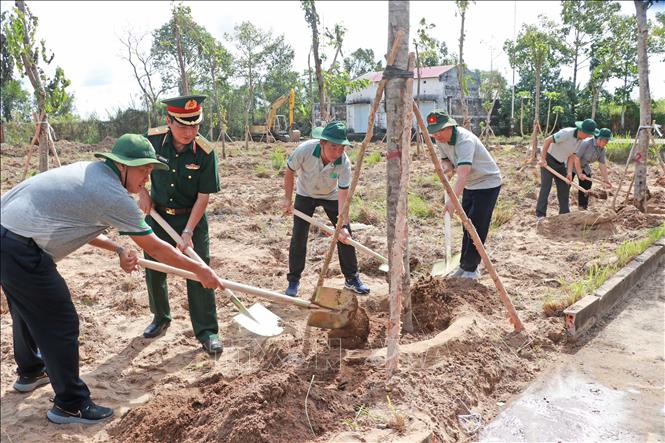 Ngay sau lễ phát động, lãnh đạo Quân khu 9, lãnh đạo tỉnh Cà Mau cùng đông đảo lực lượng đoàn viên, thanh niên, cán bộ, chiến sĩ và người dân đã đồng loạt ra quân tham gia trồng cây. Ảnh: Huỳnh Anh - TTXVN
