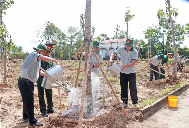Ngay sau lễ phát động, lãnh đạo Quân khu 9 và tỉnh Cà Mau cùng tham gia trồng cây. Ảnh: Huỳnh Anh - TTXVN