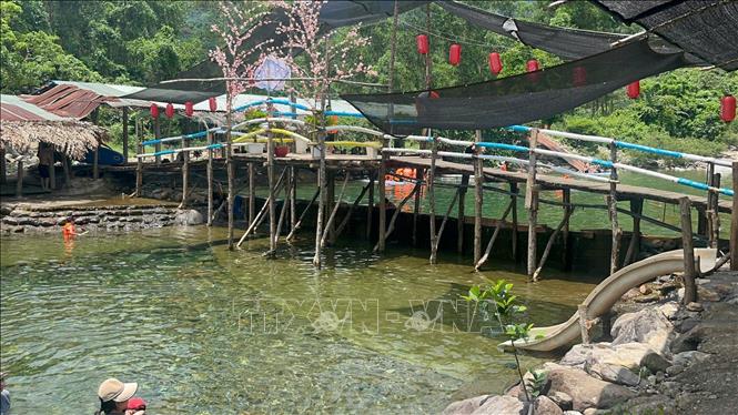 Con đập ngăn suối ở quán Dì Hường được ngăn bởi những tấm ván gỗ tràm cao 1 mét. Ảnh: Văn Dũng-TTXVN