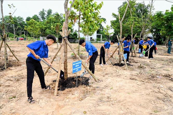 Đoàn viên thanh niên tham gia hưởng ứng phong trào trồng cây hữu nghị. Ảnh: Xuân Khu - TTXVN
