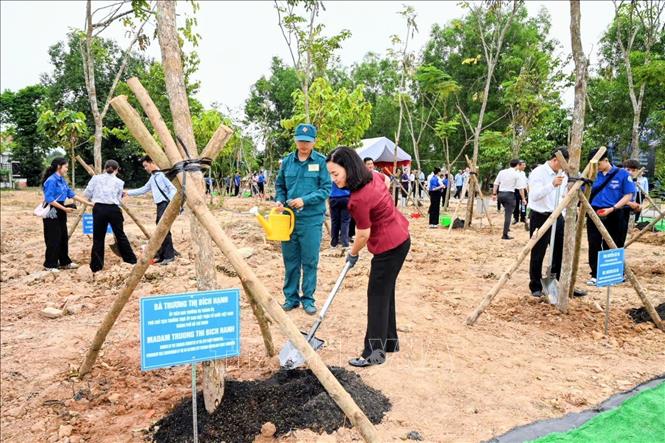 Bà Trương Thị Bích Hạnh, Phó Chủ tịch Thường trực Ủy ban MTTQ Việt Nam Thành phố Hồ Chí Minh trồng cây hưởng ứng lễ phát động phong trào trồng cây hữu nghị. Ảnh: Xuân Khu - TTXVN