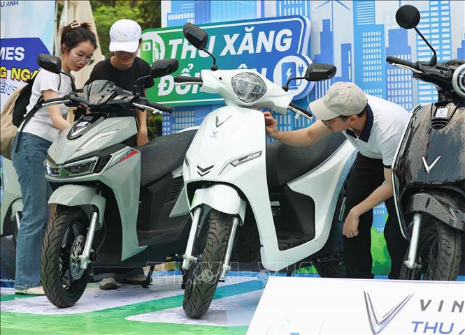 Sinh viên tham quan, tìm hiểu các dòng xe điện mới như Evo Grand, Evo Grand Lite, Feliz 2025, Zgoo, Flazz, Evo Max, Feliz II, Amio, Viper... Ảnh: Thanh Tùng - TTXVN
