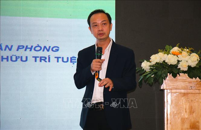 Ông Trần Giang Khuê, Trưởng văn phòng đại diện miền Nam, Cục Sở hữu trí tuệ trình bày tham luận tại chương trình. Ảnh: Hương Giang - TTXVN