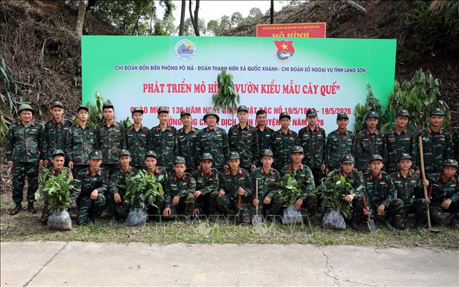 Cán bộ chiến sĩ lực lượng vũ trang tham gia trồng cây quế tại điểm cao 556, khu vực mốc 997 (thôn Nà Khau, xã Quốc Khánh, tỉnh Lạng Sơn). Ảnh: Văn Đạt - TTXVN