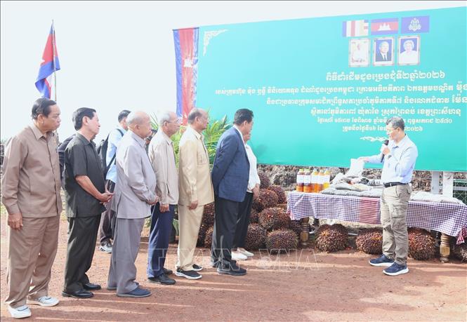 Các đại biểu nghe giới thiệu về dự án phát triển cây cọ dầu quy mô rộng hơn 20.000ha trên địa bàn xã Ta Ney, huyện Prey Nob, tỉnh Preah Sihanouk, Vương quốc Campuchia. Ảnh: Huỳnh Thảo - PV TTXVN tại Campuchia